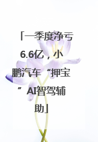 一季度净亏6.6亿，小鹏汽车“押宝”AI智驾辅助